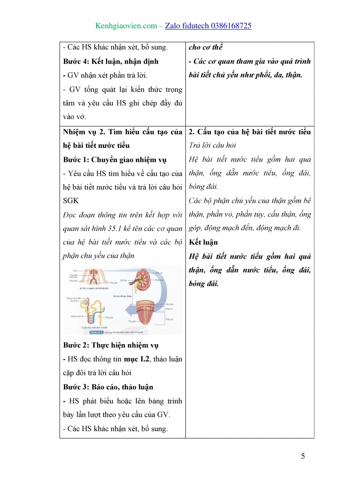 Giáo án và PPT KHTN 8 kết nối Bài 35: Hệ bài tiết ở người