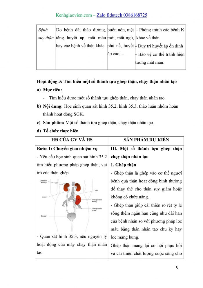 Giáo án và PPT KHTN 8 kết nối Bài 35: Hệ bài tiết ở người