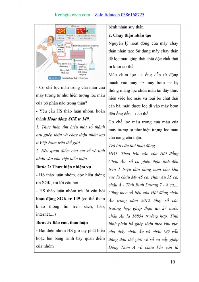 Giáo án và PPT KHTN 8 kết nối Bài 35: Hệ bài tiết ở người