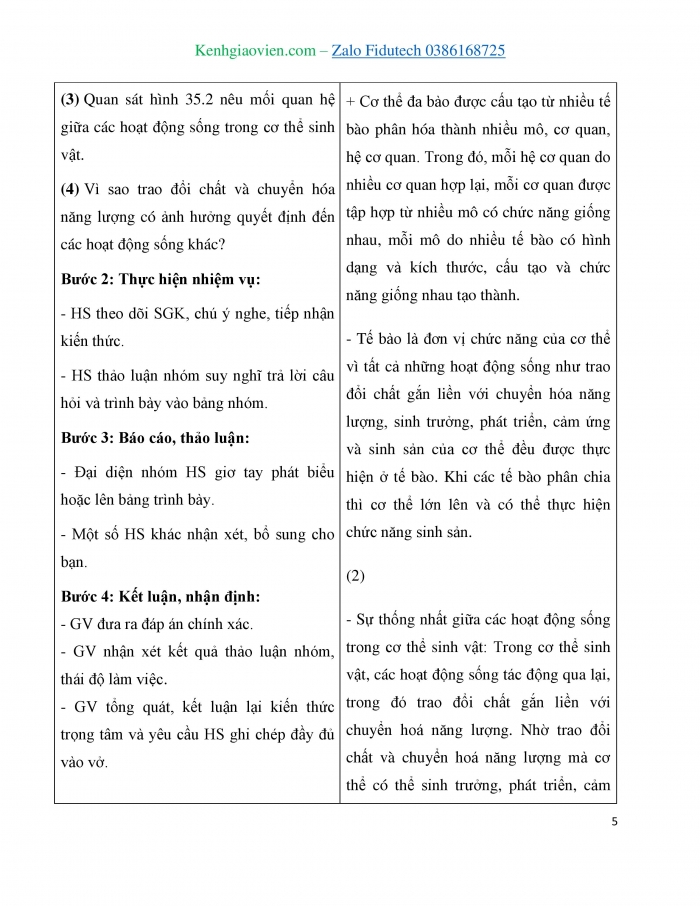 Giáo án và PPT KHTN 7 cánh diều Bài 35: Sự thống nhất về cấu trúc và các hoạt động sống trong cơ thể sinh vật