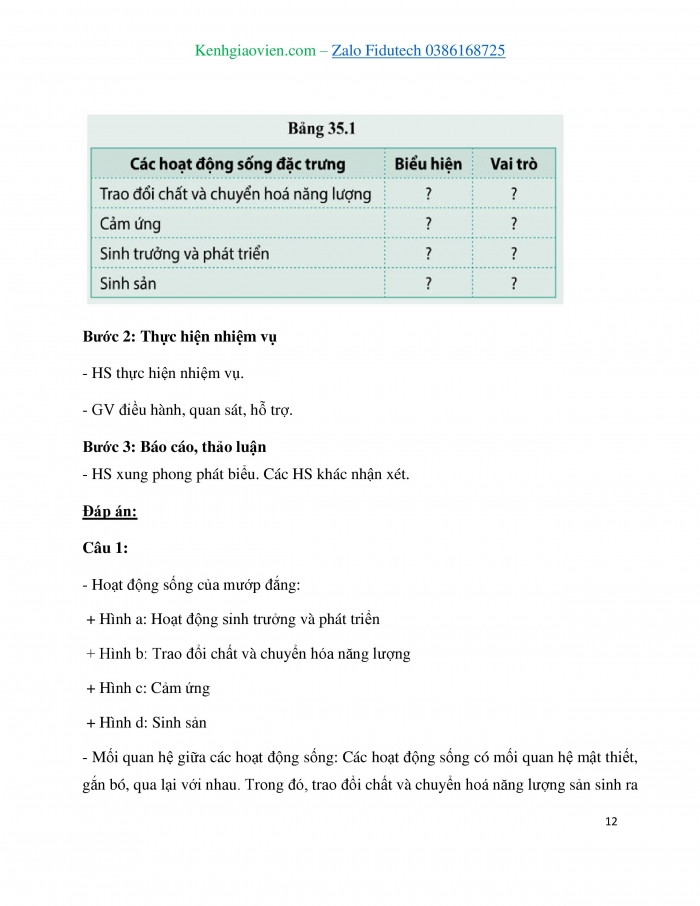 Giáo án và PPT KHTN 7 cánh diều Bài 35: Sự thống nhất về cấu trúc và các hoạt động sống trong cơ thể sinh vật