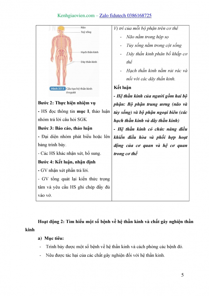 Giáo án và PPT KHTN 8 kết nối Bài 37: Hệ thần kinh và các giác quan ở người