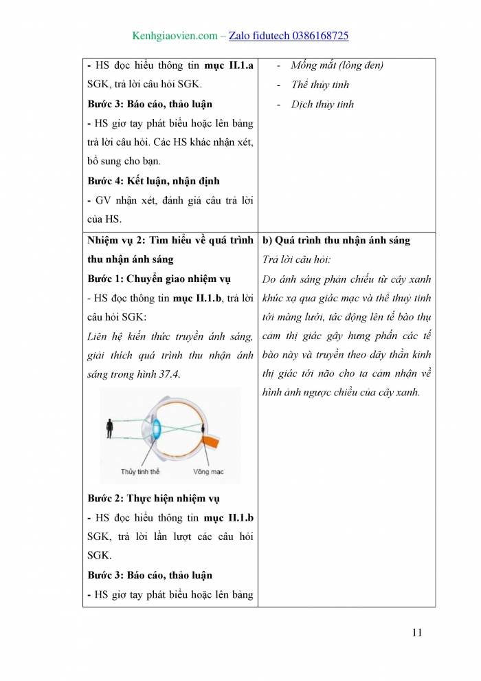 Giáo án và PPT KHTN 8 kết nối Bài 37: Hệ thần kinh và các giác quan ở người