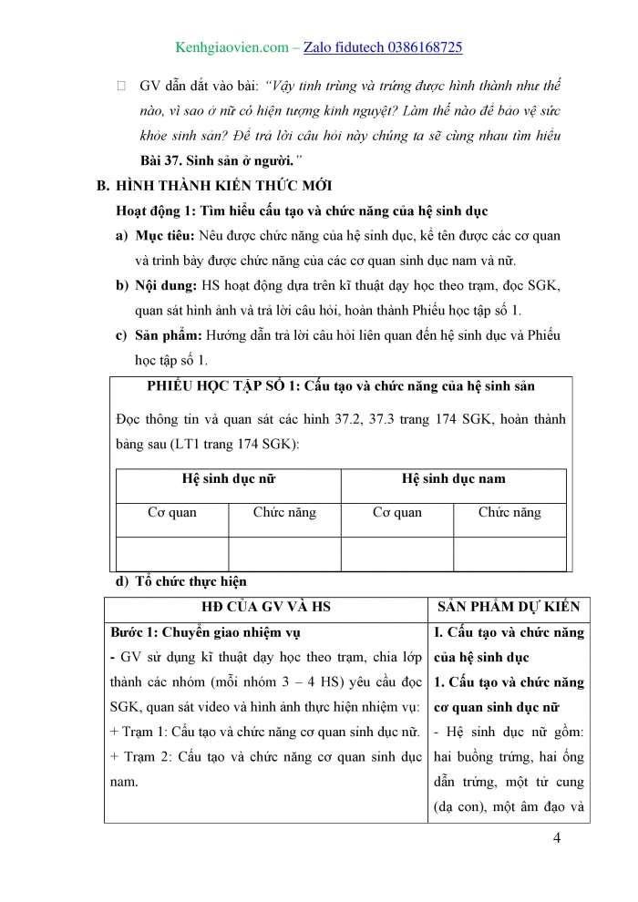 Giáo án và PPT KHTN 8 cánh diều Bài 37: Sinh sản ở người