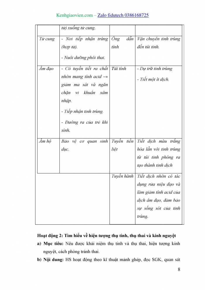 Giáo án và PPT KHTN 8 cánh diều Bài 37: Sinh sản ở người