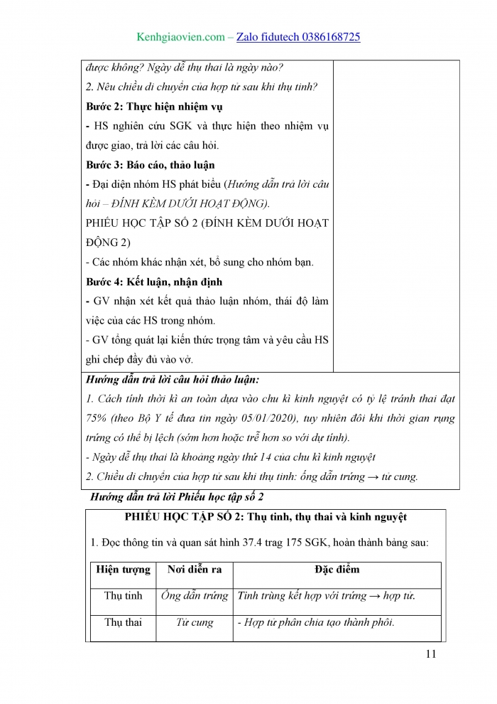 Giáo án và PPT KHTN 8 cánh diều Bài 37: Sinh sản ở người