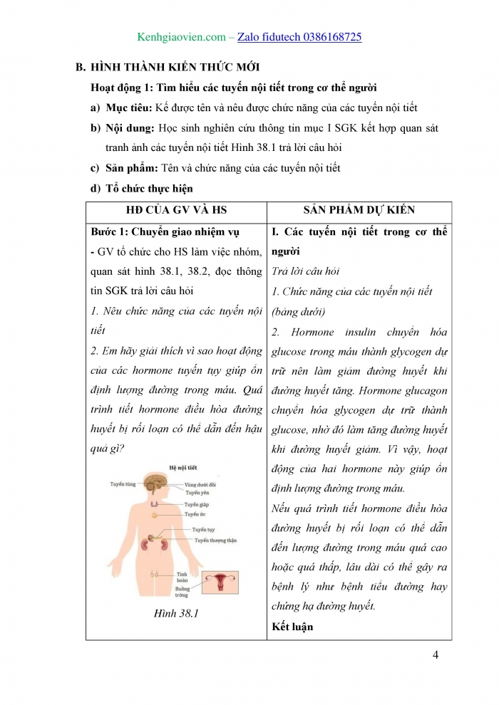 Giáo án và PPT KHTN 8 kết nối Bài 38: Hệ nội tiết ở người