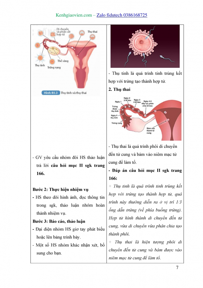 Giáo án và PPT KHTN 8 kết nối Bài 40: Sinh sản ở người