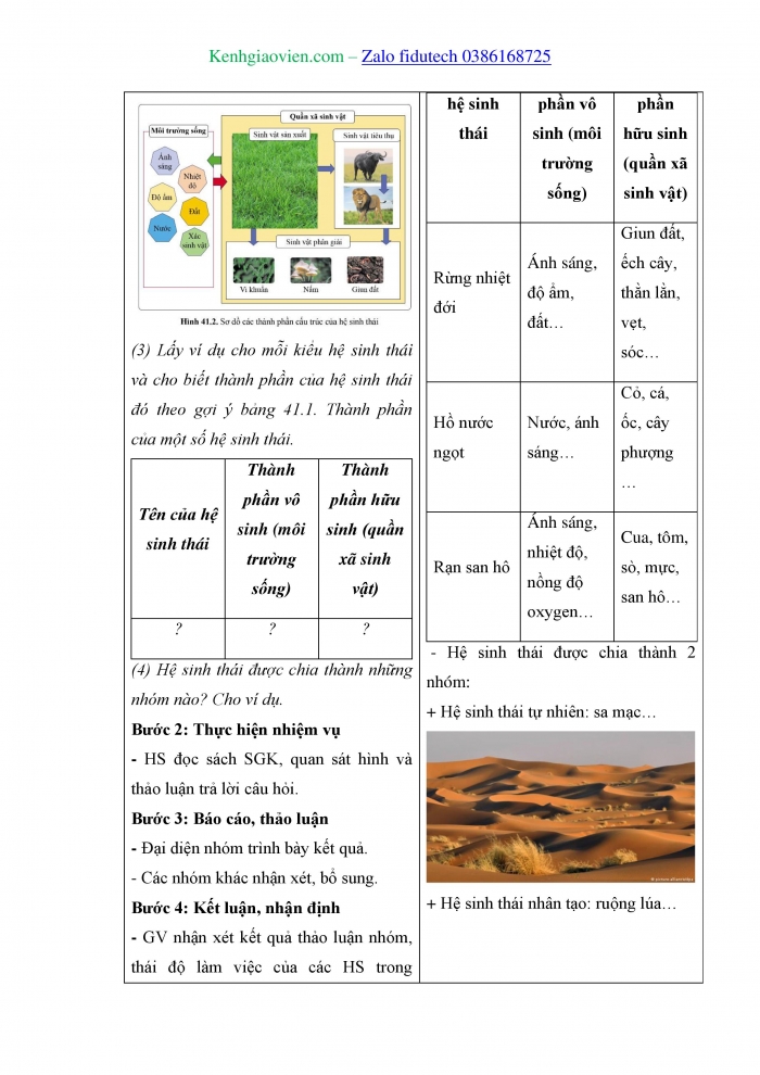 Giáo án và PPT KHTN 8 cánh diều Bài 41: Hệ sinh thái