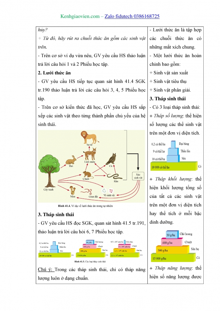 Giáo án và PPT KHTN 8 cánh diều Bài 41: Hệ sinh thái