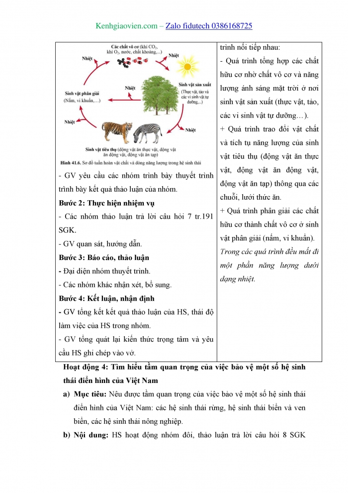 Giáo án và PPT KHTN 8 cánh diều Bài 41: Hệ sinh thái