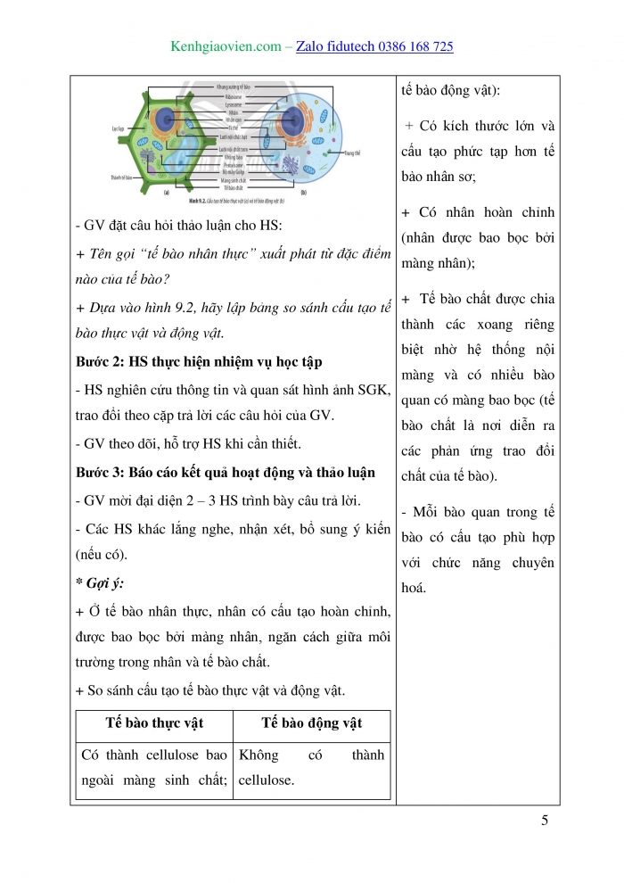 Giáo án và PPT Sinh học 10 chân trời Bài 9: Tế bào nhân thực