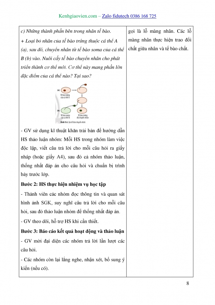 Giáo án và PPT Sinh học 10 chân trời Bài 9: Tế bào nhân thực