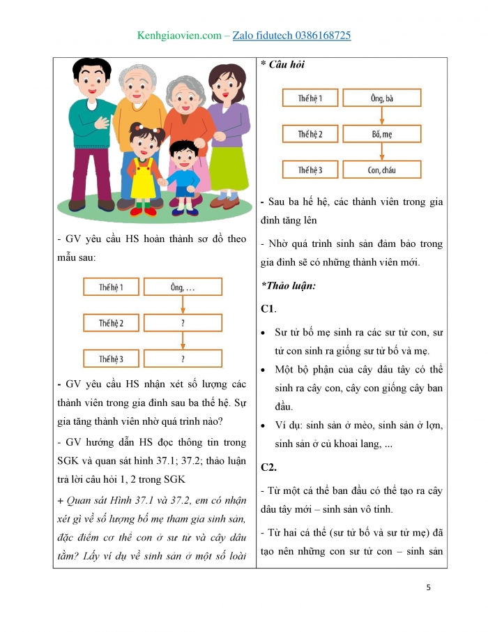 Giáo án và PPT KHTN 7 chân trời Bài 37: Sinh sản ở sinh vật