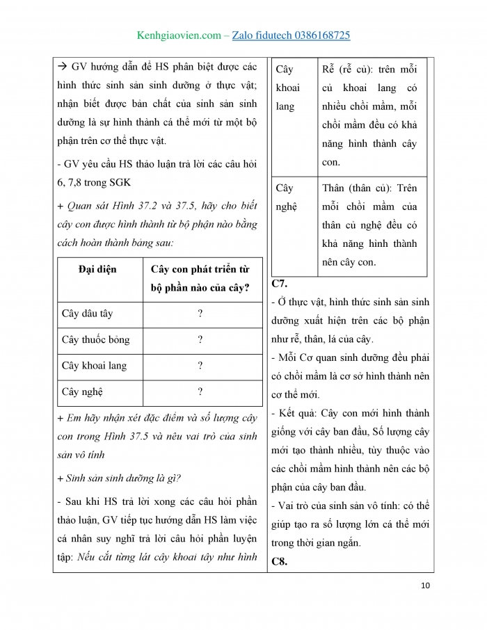 Giáo án và PPT KHTN 7 chân trời Bài 37: Sinh sản ở sinh vật