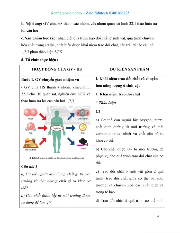 Giáo án và PPT KHTN 7 chân trời Bài 22: Vai trò của trao đổi chất và chuyển hoá năng lượng ở sinh vật