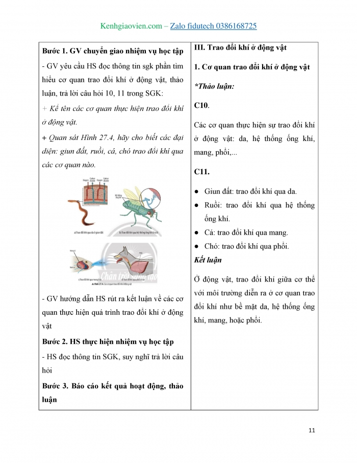 Giáo án và PPT KHTN 7 chân trời Bài 27: Trao đổi khí ở sinh vật