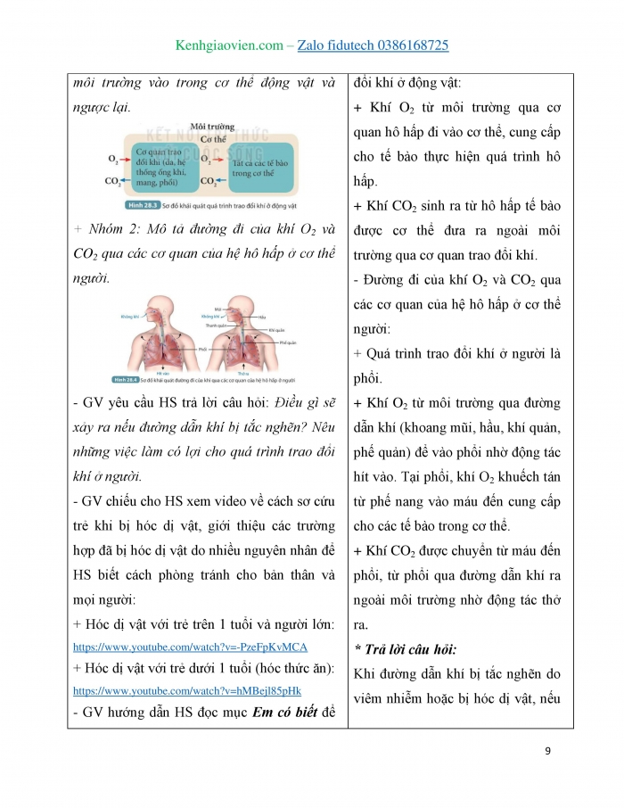 Giáo án và PPT KHTN 7 kết nối Bài 28: Trao đổi khí ở sinh vật