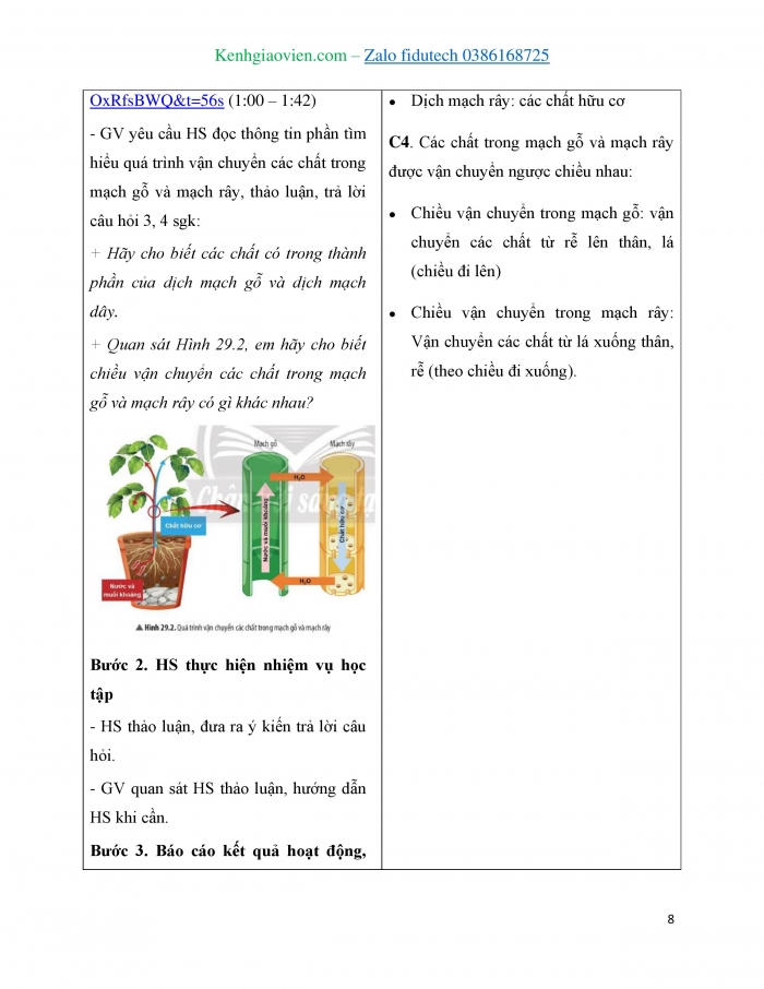 Giáo án và PPT KHTN 7 chân trời Bài 29: Trao đổi nước và các chất dinh dưỡng ở thực vật