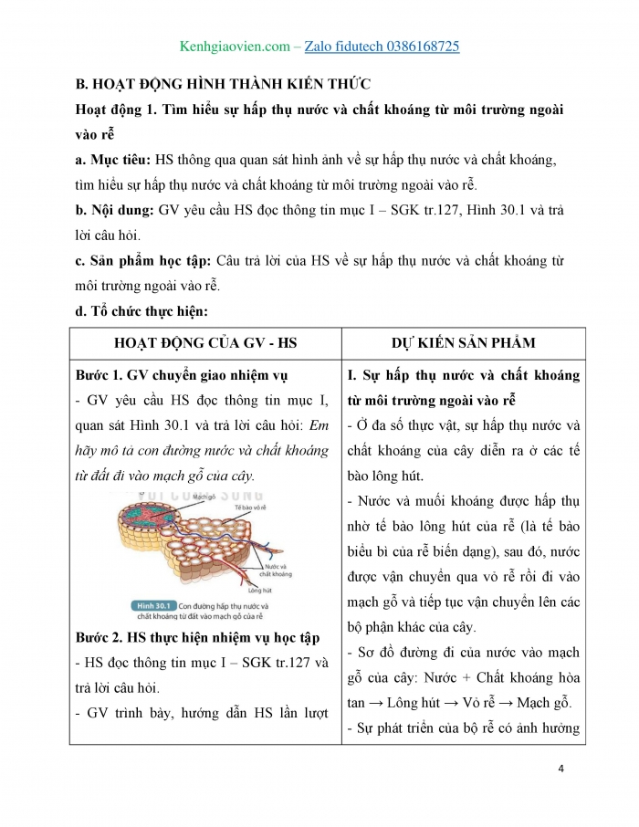 Giáo án và PPT KHTN 7 kết nối Bài 30: Trao đổi nước và chất dinh dưỡng ở thực vật