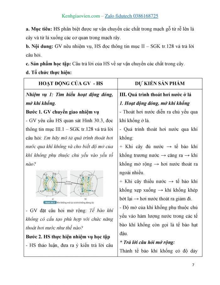 Giáo án và PPT KHTN 7 kết nối Bài 30: Trao đổi nước và chất dinh dưỡng ở thực vật