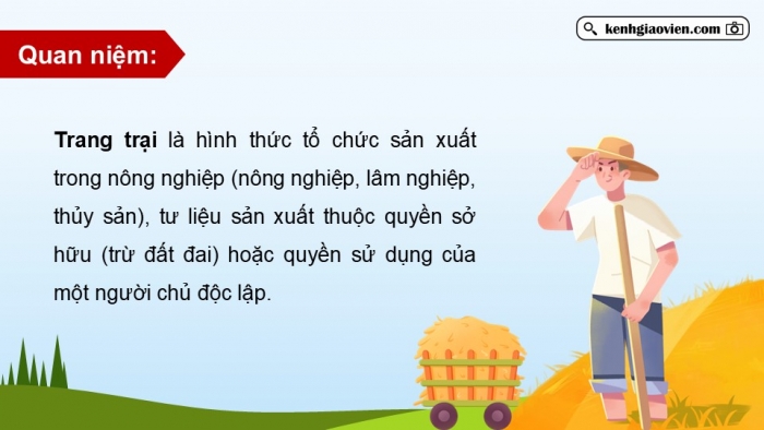 Giáo án điện tử Địa lí 12 kết nối Bài 13: Tổ chức lãnh thổ nông nghiệp