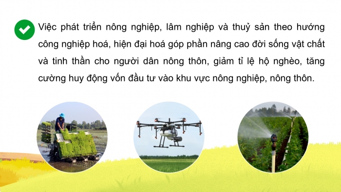 Giáo án điện tử Địa lí 12 kết nối Bài 14: Thực hành Tìm hiểu vai trò ngành nông nghiệp, lâm nghiệp và thuỷ sản; vẽ biểu đồ và nhận xét về ngành nông nghiệp, lâm nghiệp và thuỷ sản