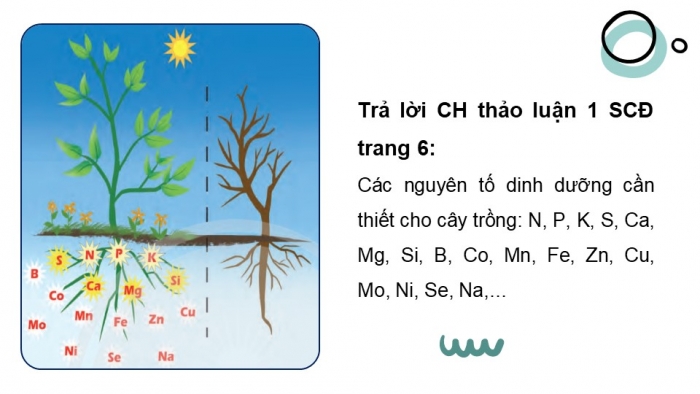 Giáo án điện tử chuyên đề Hoá học 11 chân trời Bài 1: Giới thiệu chung về phân bón