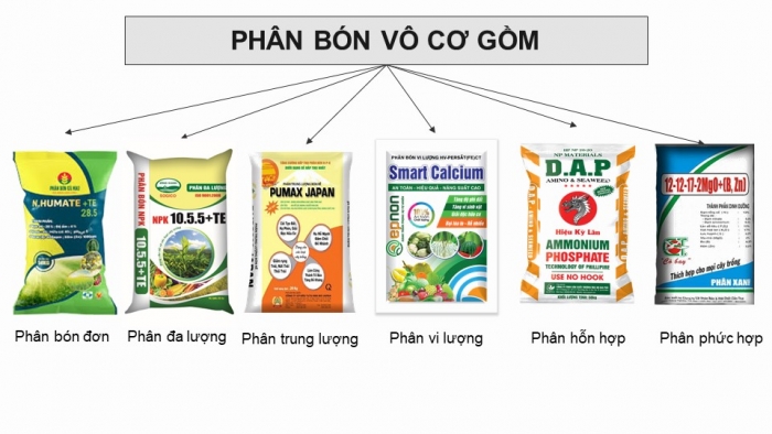 Giáo án điện tử chuyên đề Hoá học 11 chân trời Bài 2: Phân bón vô cơ