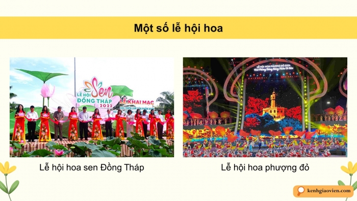 Giáo án điện tử Mĩ thuật 5 chân trời bản 2 Bài 5: Lễ hội hoa