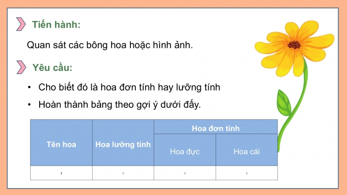 Giáo án điện tử Khoa học 5 cánh diều Bài 8: Sự sinh sản của thực vật có hoa