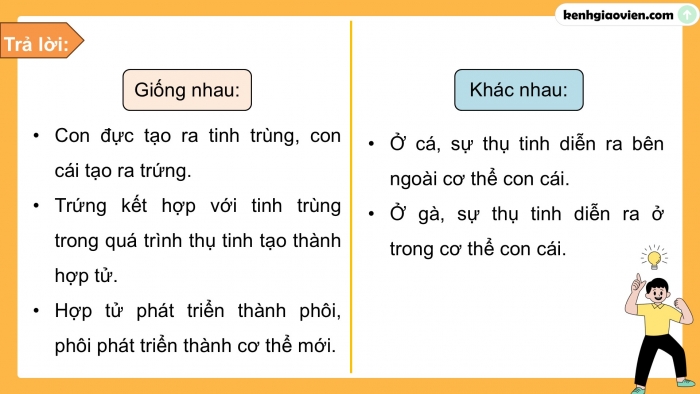 Giáo án điện tử Khoa học 5 cánh diều Bài 10: Sự sinh sản ở động vật đẻ trứng và động vật đẻ con