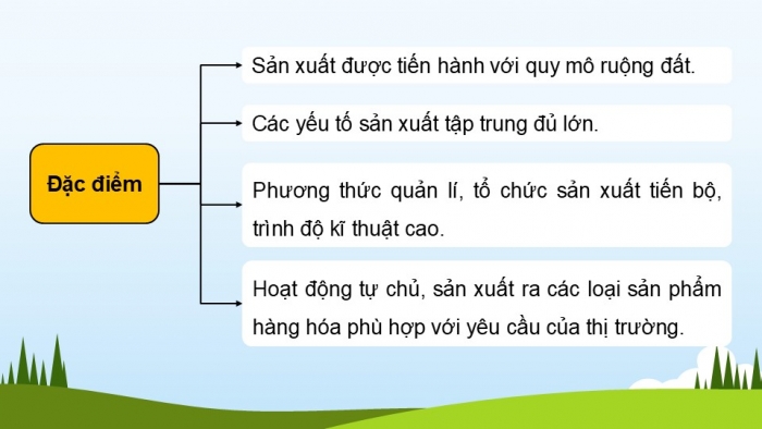 Giáo án điện tử Địa lí 12 kết nối Bài 13: Tổ chức lãnh thổ nông nghiệp