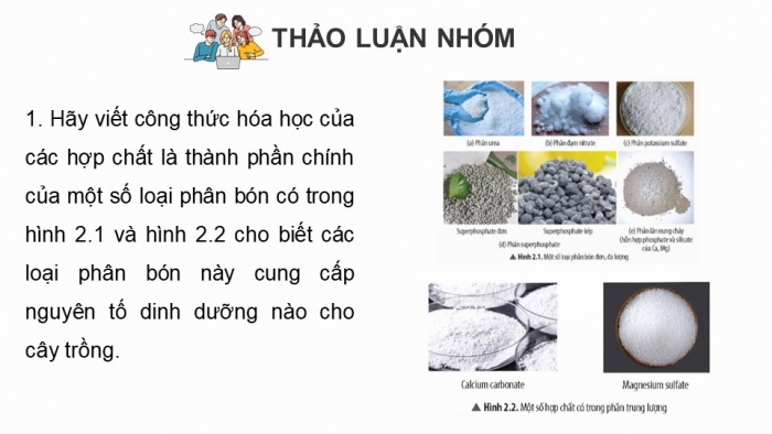 Giáo án điện tử chuyên đề Hoá học 11 chân trời Bài 2: Phân bón vô cơ