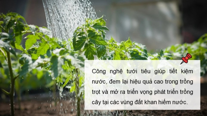 Giáo án điện tử Công nghệ 9 Nông nghiệp 4.0 Chân trời Chủ đề 3: Thiết kế mạch điện ứng dụng công nghệ tưới tiêu tự động trong trồng trọt