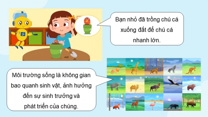 Giáo án điện tử Đạo đức 5 kết nối Bài 5: Bảo vệ môi trường sống