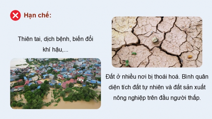 Giáo án điện tử Địa lí 12 kết nối Bài 11: Vấn đề phát triển ngành nông nghiệp