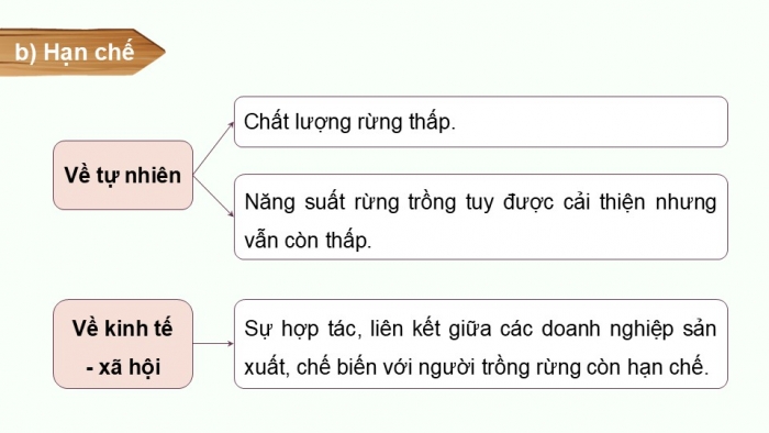 Giáo án điện tử Địa lí 12 kết nối Bài 12: Vấn đề phát triển ngành lâm nghiệp và ngành thuỷ sản