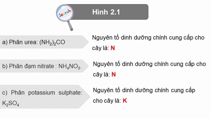 Giáo án điện tử chuyên đề Hoá học 11 chân trời Bài 2: Phân bón vô cơ