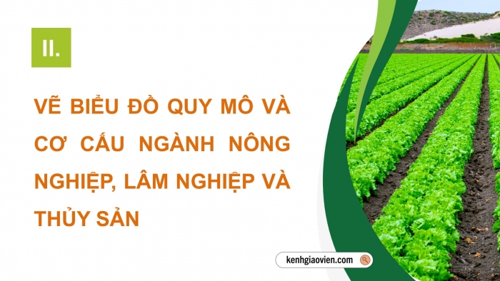 Giáo án điện tử Địa lí 12 kết nối Bài 14: Thực hành Tìm hiểu vai trò ngành nông nghiệp, lâm nghiệp và thuỷ sản; vẽ biểu đồ và nhận xét về ngành nông nghiệp, lâm nghiệp và thuỷ sản