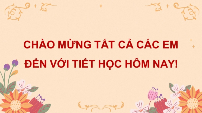 Giáo án điện tử Hoạt động trải nghiệm 5 chân trời bản 2 Chủ đề 5 Tuần 17