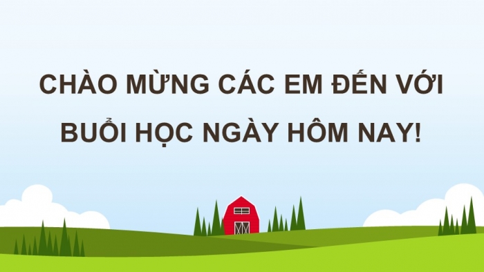 Giáo án điện tử Địa lí 12 kết nối Bài 13: Tổ chức lãnh thổ nông nghiệp