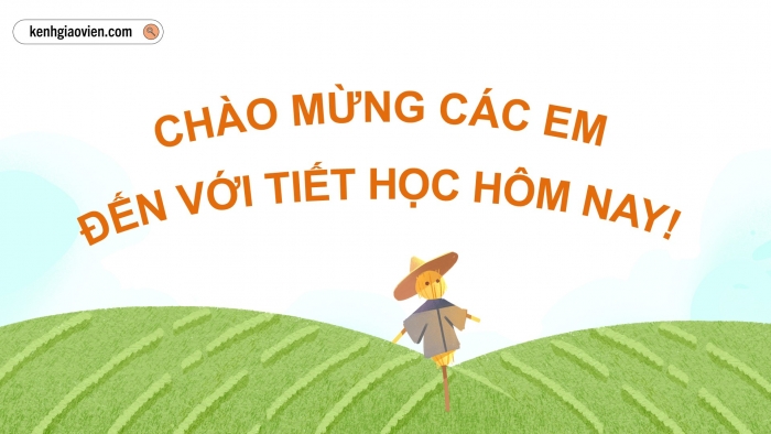 Giáo án điện tử Địa lí 12 kết nối Bài 14: Thực hành Tìm hiểu vai trò ngành nông nghiệp, lâm nghiệp và thuỷ sản; vẽ biểu đồ và nhận xét về ngành nông nghiệp, lâm nghiệp và thuỷ sản