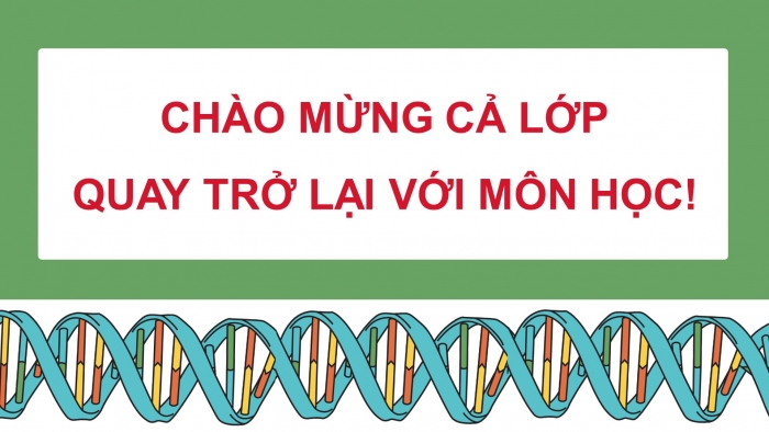 Giáo án điện tử chuyên đề Sinh học 12 cánh diều Ôn tập CĐ 1