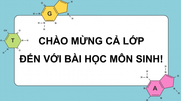 Giáo án điện tử chuyên đề Sinh học 12 chân trời Bài 3: Công nghệ gene và thành tựu