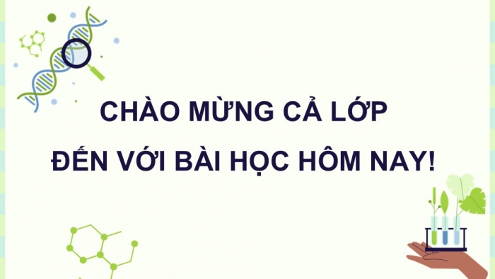 Giáo án điện tử chuyên đề Sinh học 12 chân trời Ôn tập CĐ 1