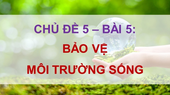 Giáo án điện tử Đạo đức 5 kết nối Bài 5: Bảo vệ môi trường sống (P2)