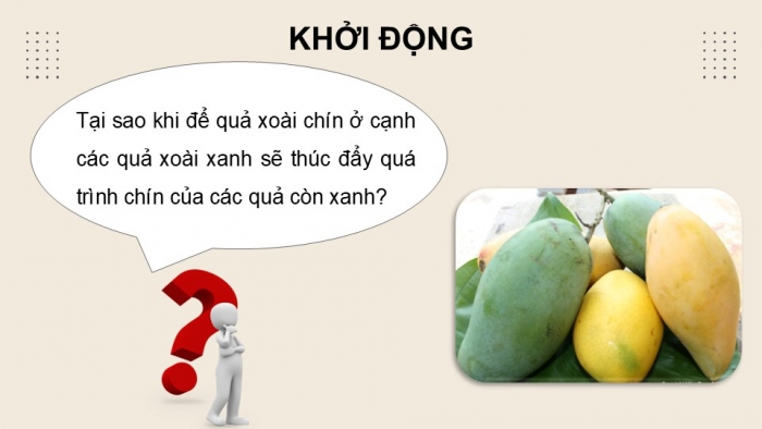 Giáo án điện tử KHTN 9 kết nối - Phân môn Hoá học Bài Ôn tập học kì 1