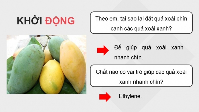 Giáo án điện tử KHTN 9 chân trời - Phân môn Hoá học Bài 22: Alkene