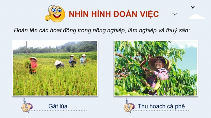 Giáo án điện tử Địa lí 12 kết nối Bài 11: Vấn đề phát triển ngành nông nghiệp